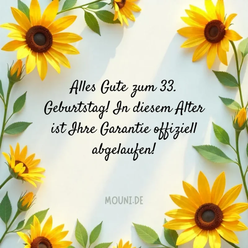 Freche Sprüche zum 33. Geburtstag