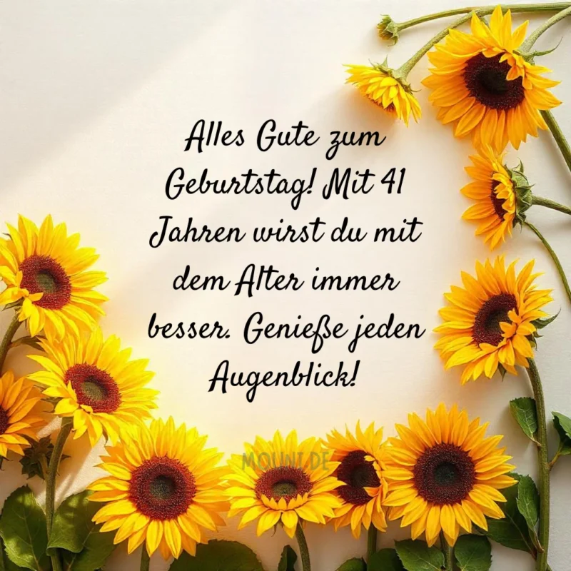 Lustige Sprüche zum 41. Geburtstag