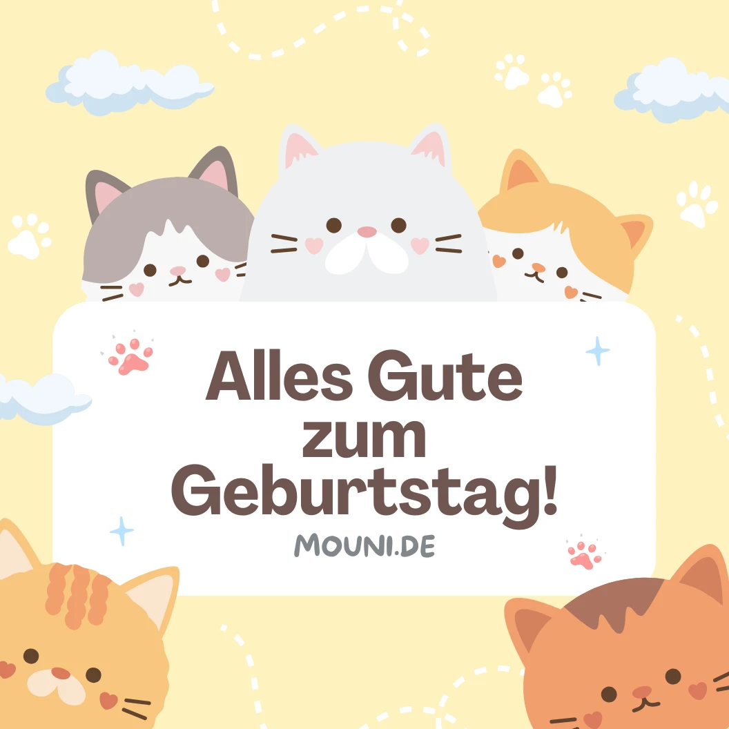 Kurze Geburtstagswünsche für Katzen