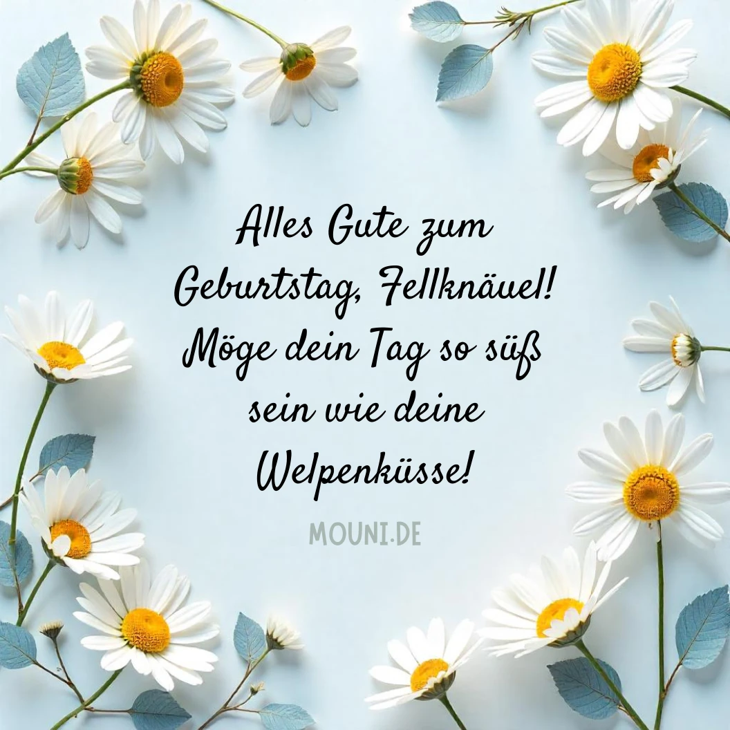 Liebe Glückwünsche zum Geburtstag für Hunde