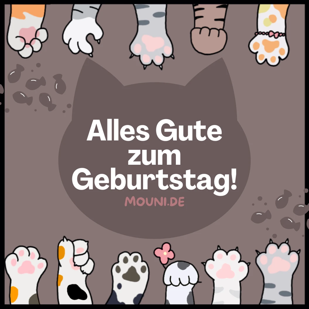 Liebevolle Geburtstagswünsche für Katzen