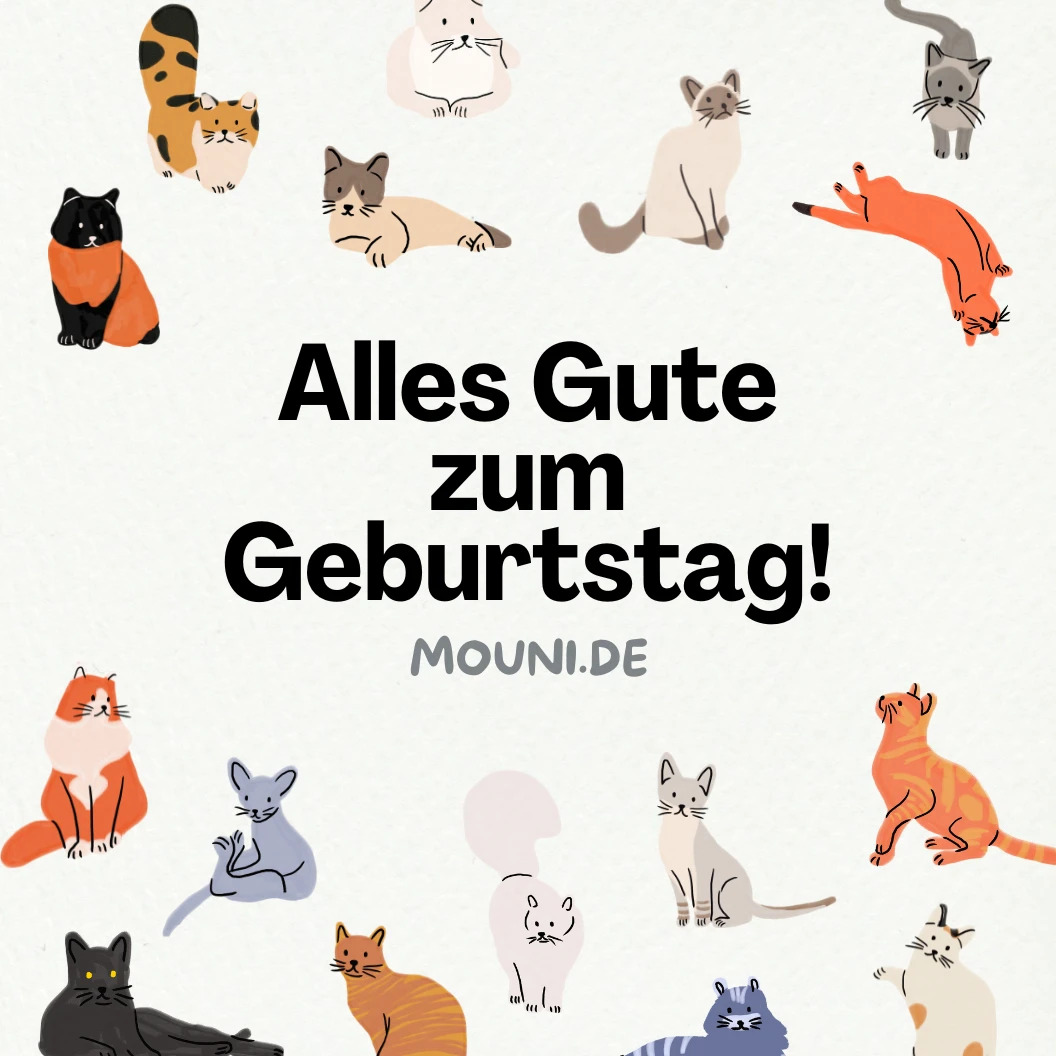 Lustige Geburtstagswünsche für Katzen