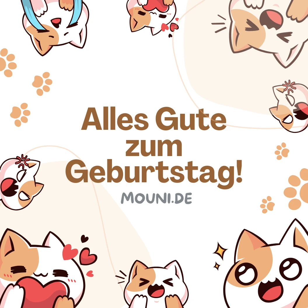 Süße Geburtstagswünsche für Katzen