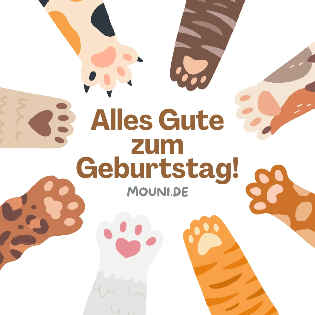 Top 20 Glückwünsche zum Geburtstag für Katzen